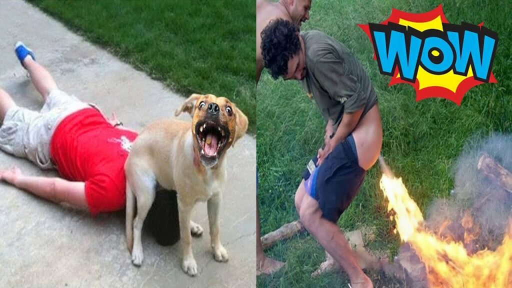 AWW NEW FUNNY 😂 Funny Videos #352
