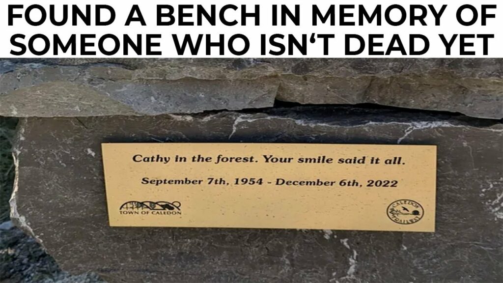 MILDLY INTERESTING 29