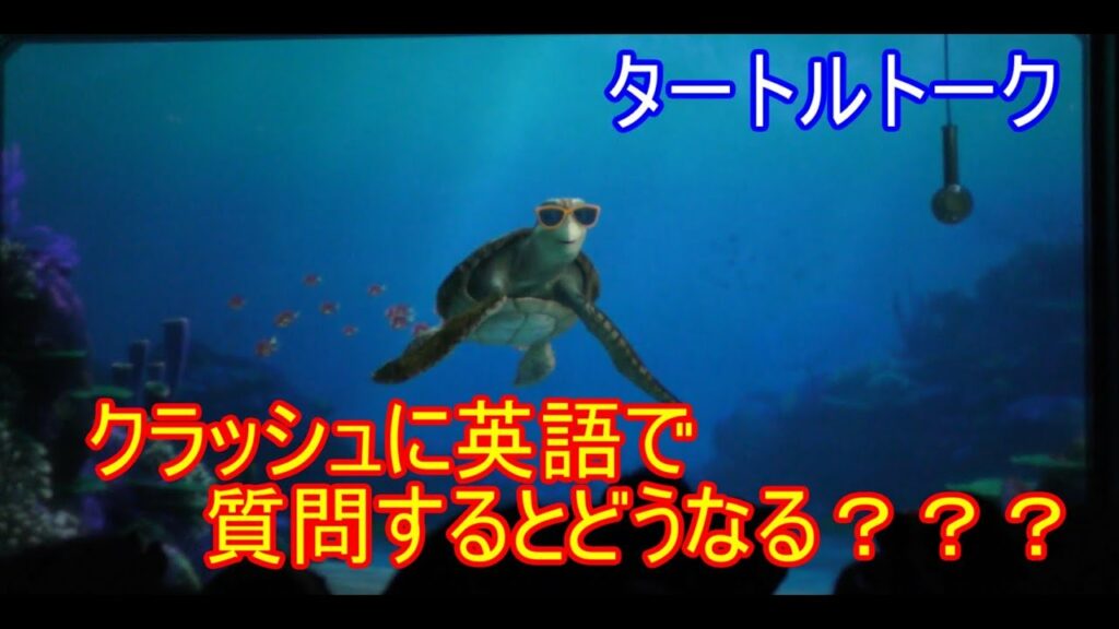 クラッシュに英語で質問するとどうなる??
