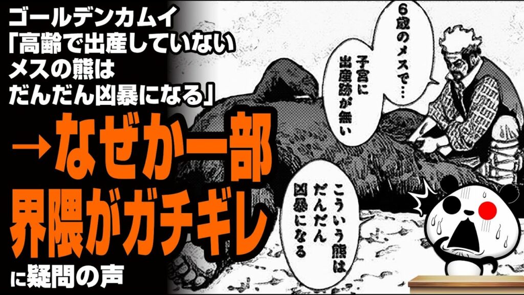 ゴールデンカムイ「高齢で出産していないメスの熊はだんだん凶暴になる」→なぜか一部界隈がガチギレが話題