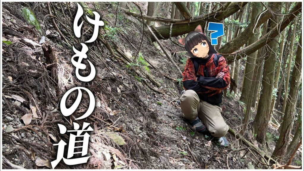 残念すぎる罠掛け【狩猟 くくり罠 自給自足 田舎暮らし イノシシ エゾシカ アライグマ ヌートリア アナグマ ニホンジカ ゴールデンカムイ サバイバル hunter ハンティング】