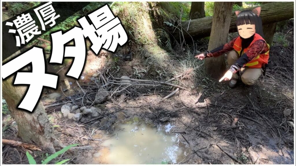 ヌタ場で罠かけてみると…?【狩猟 くくり罠 自給自足 田舎暮らし イノシシ エゾシカ アライグマ ヌートリア アナグマ ニホンジカ ゴールデンカムイ サバイバル hunter ハンティング】