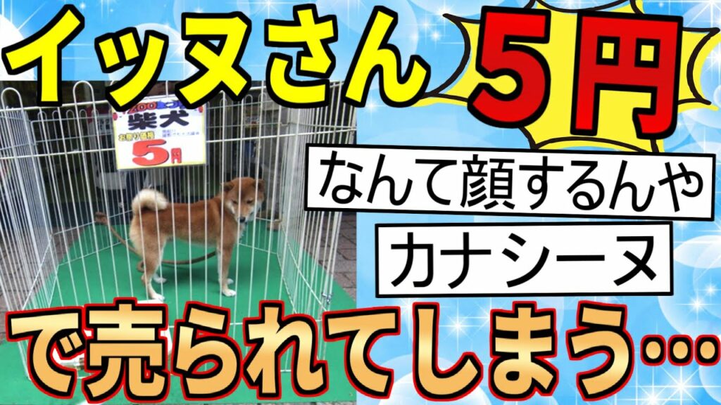 【2ch面白いスレ】イッヌさん、5円で売られてしまう…【ゆっくり解説】