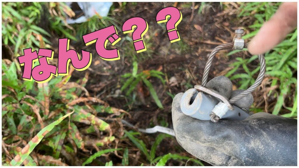くくり罠で恐れていた事が起きました。【狩猟 くくり罠 自給自足 田舎暮らし イノシシ エゾシカ アライグマ ヌートリア アナグマ ニホンジカ ゴールデンカムイ サバイバル hunter ハンティング】