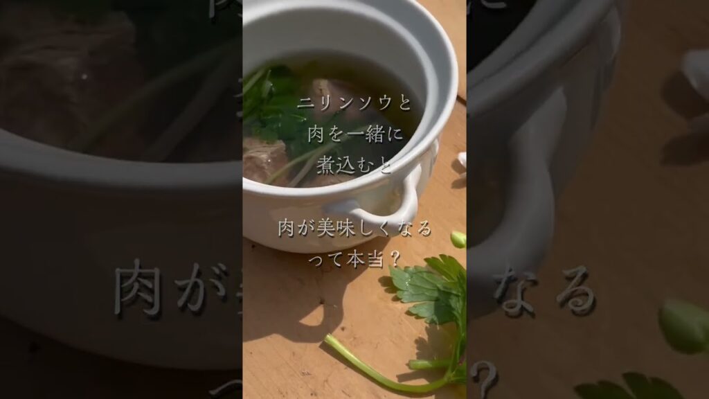 ゴールデンカムイに出てくるあの料理を作ってみた!「ニリンソウと鹿肉のスープ」アイヌの文化すごい!#shorts