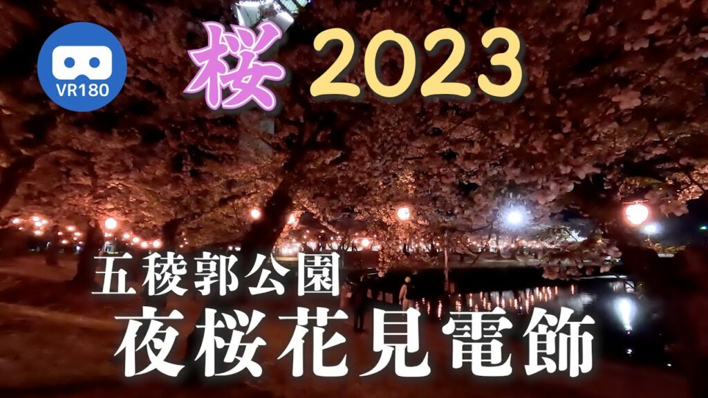 【VR180】五稜郭公園 夜桜花見電飾 2023