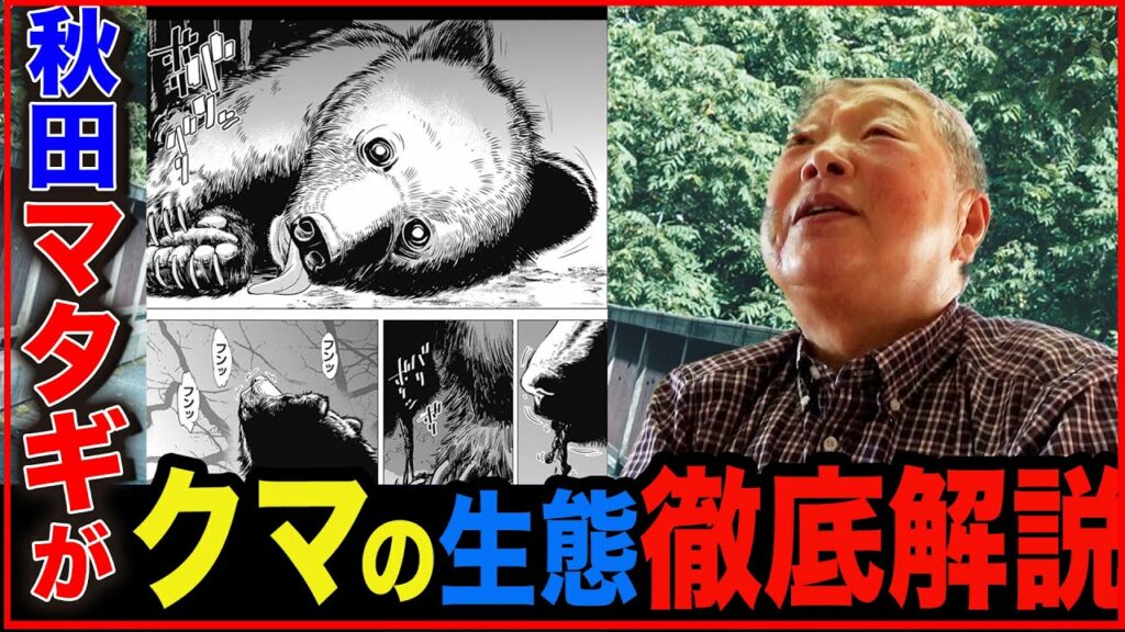 【熊撃ち】阿仁マタギが熊の生態を徹底解説・ゴールデンカムイを元に記憶を辿る