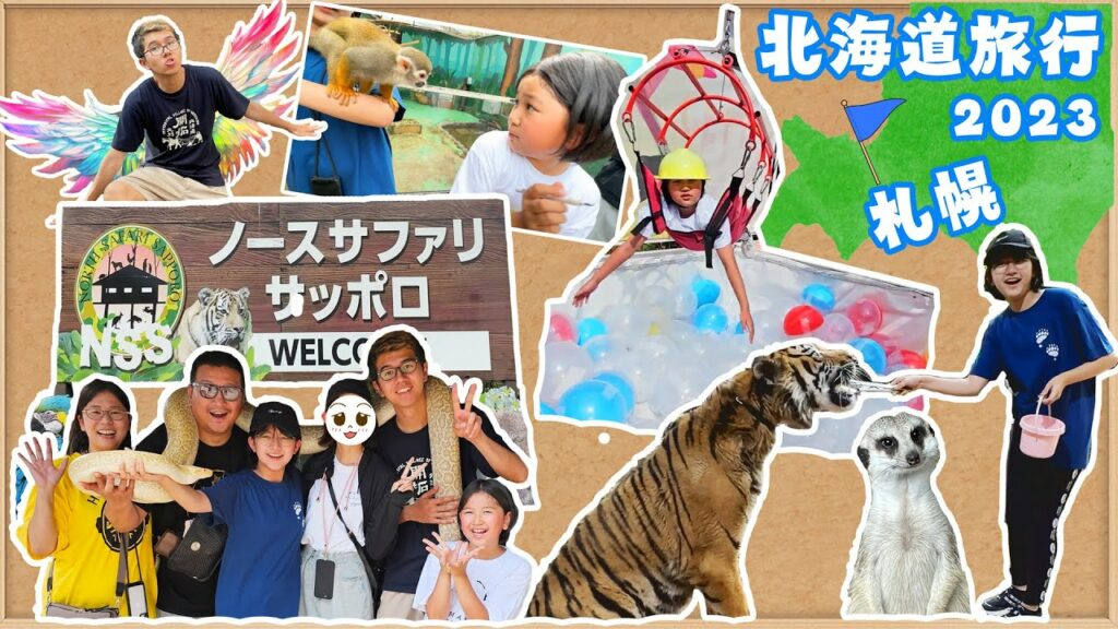 【札幌】トラに直接エサやり!!人間クレーンゲームに挑戦!ノースサファリサッポロ④ゴールデンカムイ聖地巡礼!北海道家族旅行♪2023夏☆himawari-CH