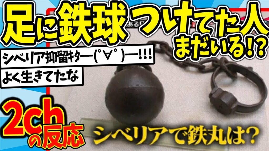 【水曜日のダウンタウン】足に鉄球つけられたことある日本人まだギリいる説を見た2chの反応【2ch反応集】【ゆっくり解説】