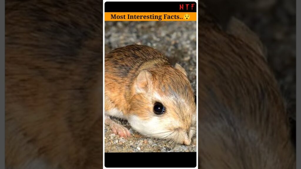 most interesting facts 😱||⚡ unknown facts ⚡|| Naveen telugu facts #shorts #facts