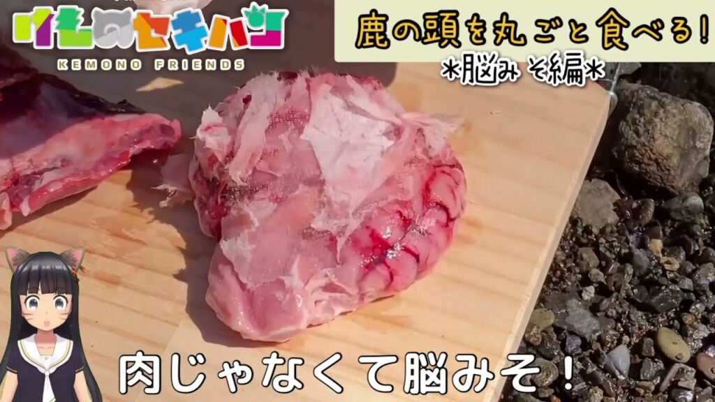 【ゴールデンカムイ】チタタプ した脳みそ鍋作った【実食編】ゴールデンカムイ 狩猟 で 自給自足 する Vtuber アイヌ エゾシカ