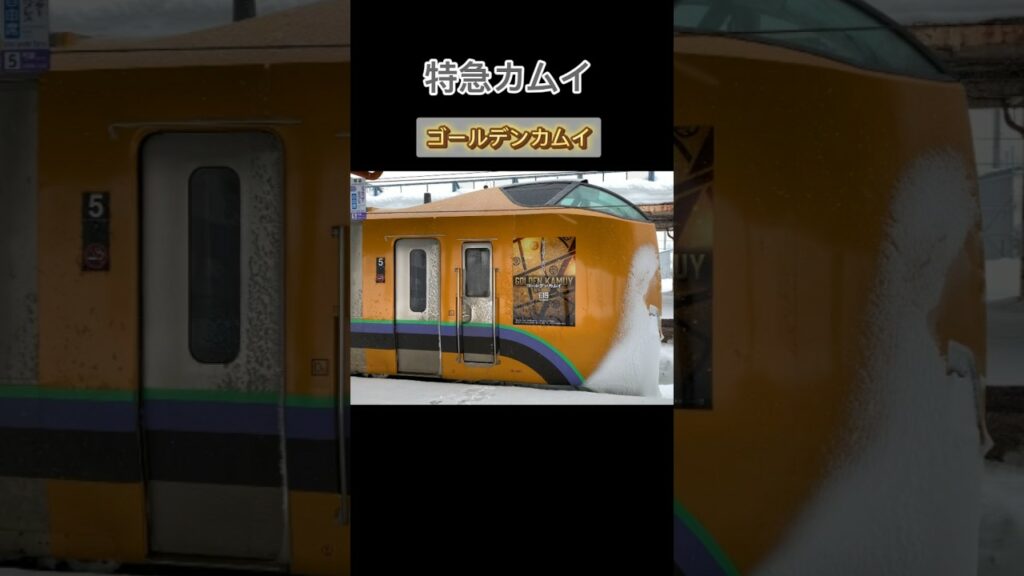ゴールデンカムイ!!特急カムイのラッピング!jr北海道! #jr北海道 #jr #ゴールデンカムイ #特急 #ラッピング電車 #shorts #short #鉄道 #電車