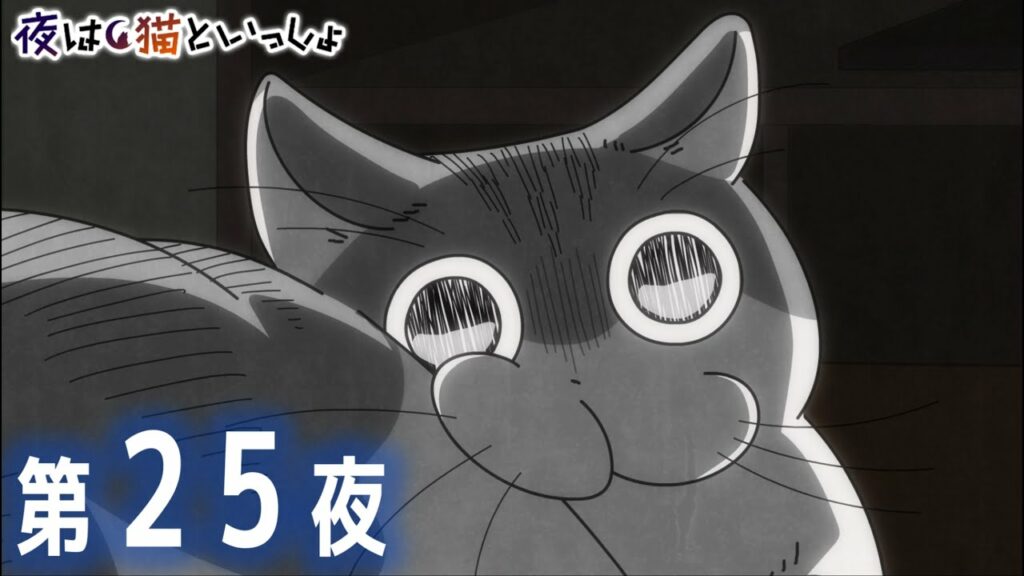 アニメ『夜は猫といっしょ』第25夜「ネコに振り向いてほしい」