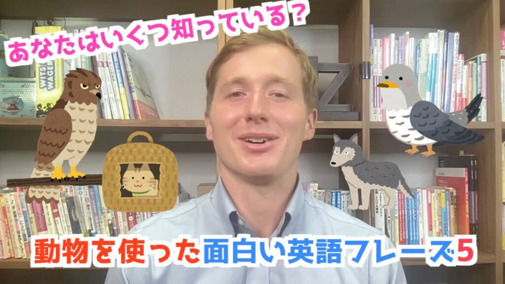 あなたはいくつ知っている?動物を使った面白い英語フレーズ5