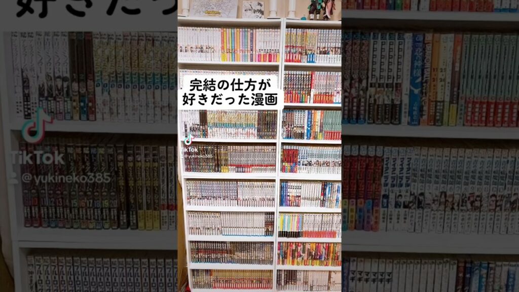 【人気漫画】完結の仕方が好きだった漫画!