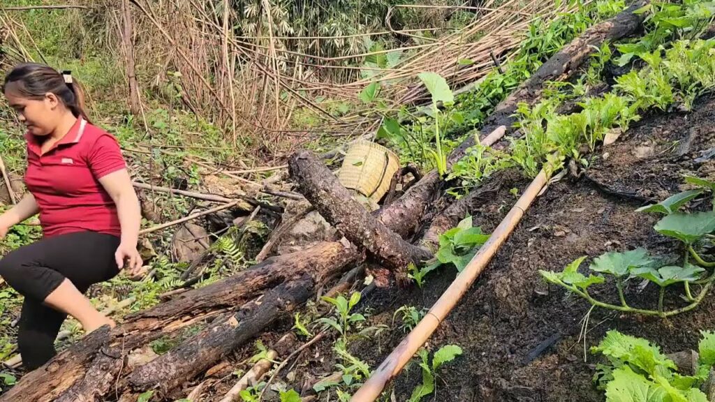 【異世界漫画】伯爵家の令嬢として育ちながら、家族にいつも無視され、見下され、妹と比較されてきた彼女。しかし、彼女が挫けなかった唯一の理由は、他でもない妹の存在だった。1~8【マンガ動画】