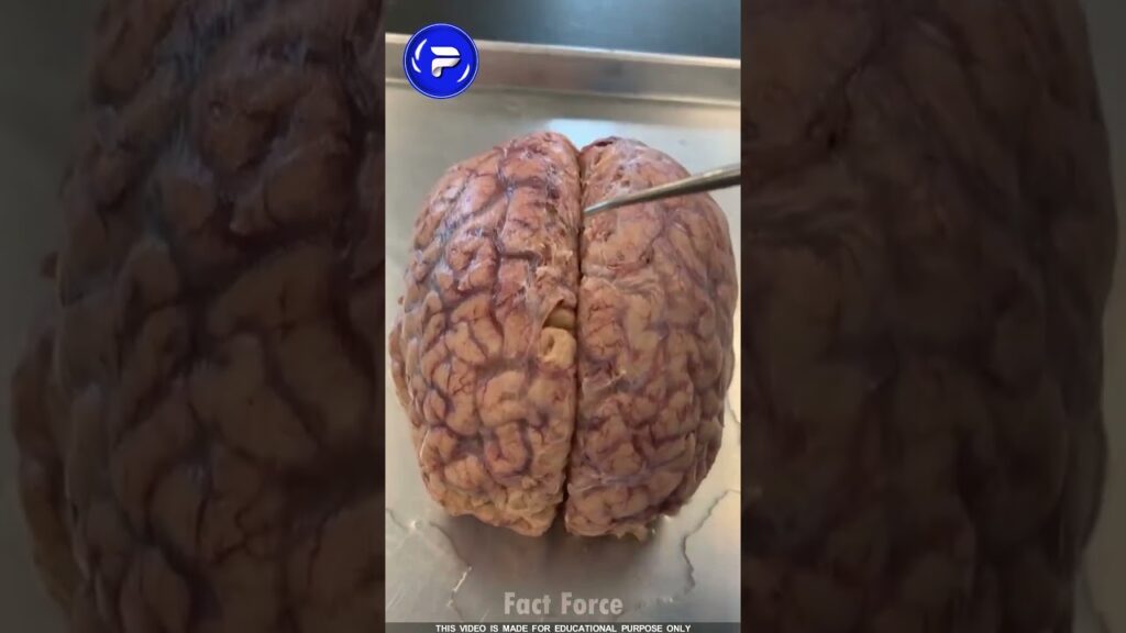 😱 கடைசிவர பாருங்க | 2 Unbelievable People #panipuri #fact #fruits #short