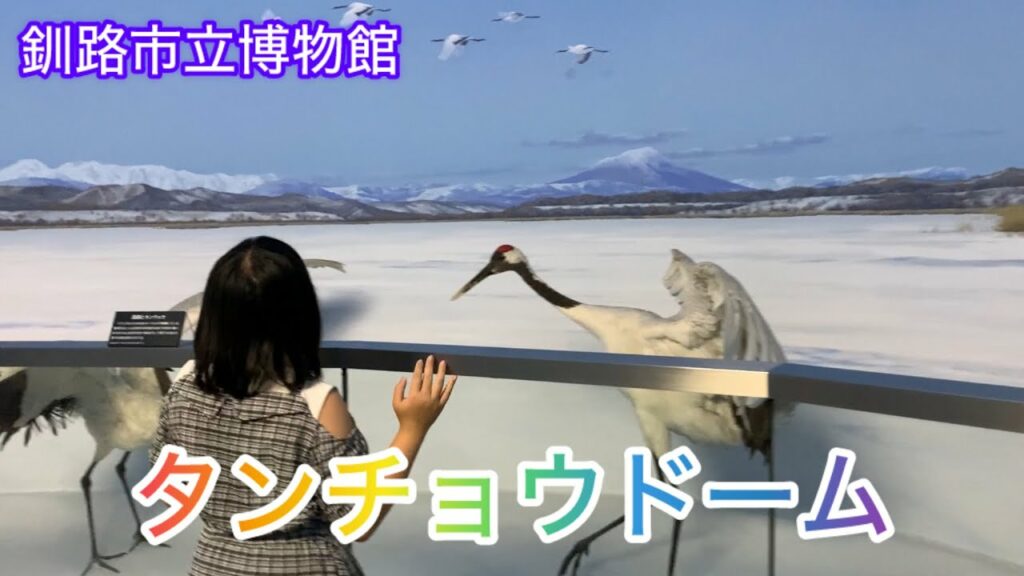 2024年8月 北海道旅行EP.6~釧路湿原のリアルなジオラマ!