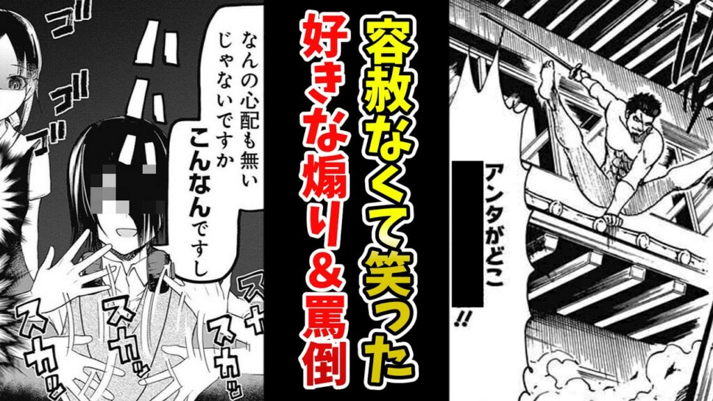 【容赦なくて笑った】好きな煽り&罵倒げてけww【あにまん】